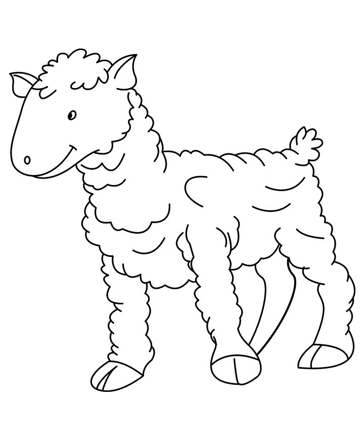 Plansa de colorat cu Oaie 2 11